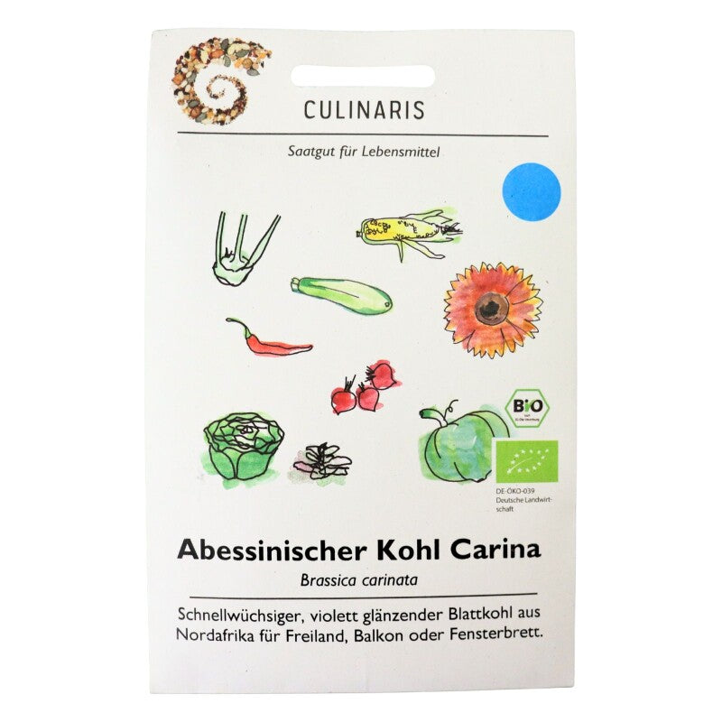 Abessinischerer Kohl Carina Trockenheitsverträglich