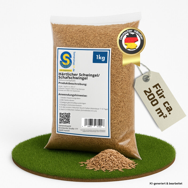 Samenshop24® Härtlicher Schwingel/ Schafschwingel Festuca Trachyphylla | 1kg Für 200 M²