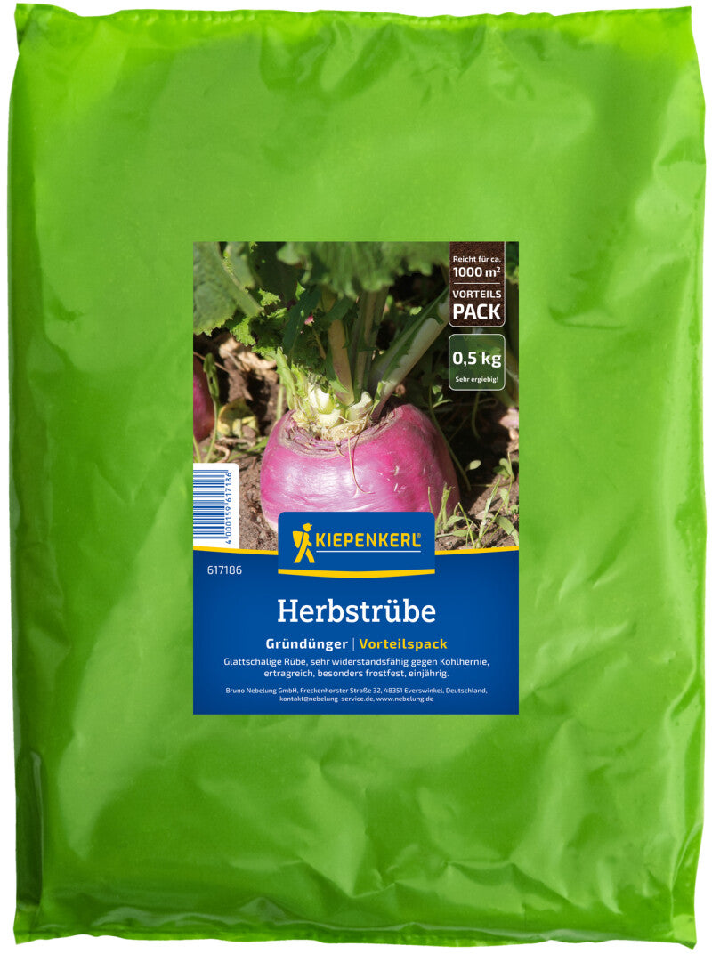 Herbstrüben Gründünger 500gr