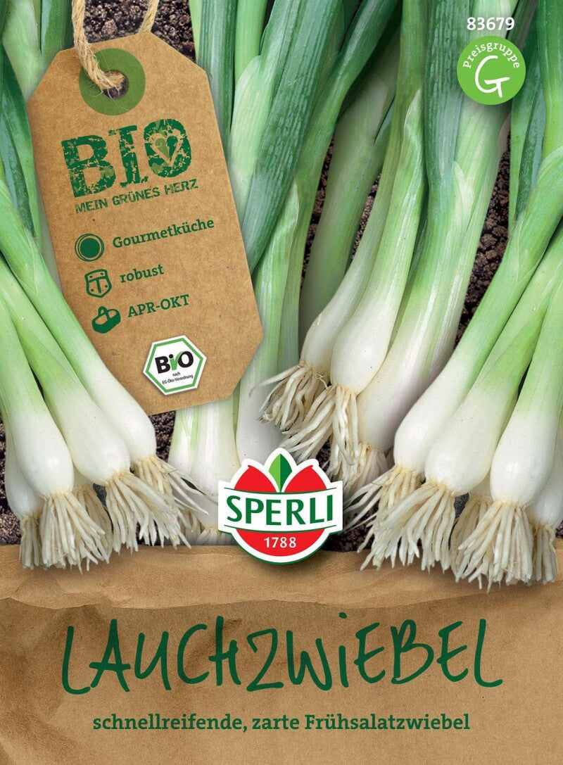 BIO Lauchzwiebel, Beliebte Robuste Frühlingszwiebel Mit Langen Weißen Schaften
