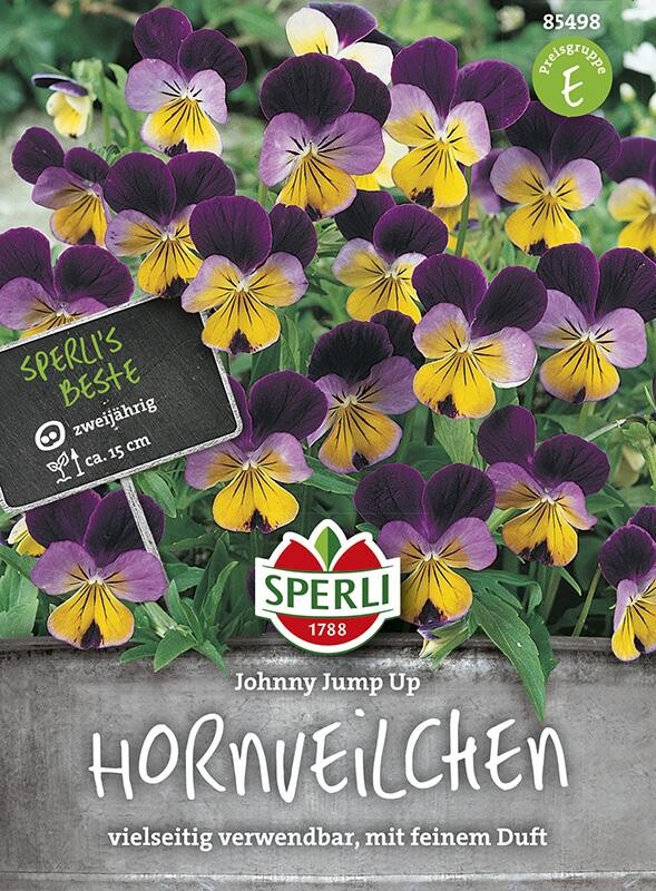 Hornveilchen Johnny Jump Up, Dauerblüher Für Herbst Und Frühjahr Mit Feinem Duft, Winterhart