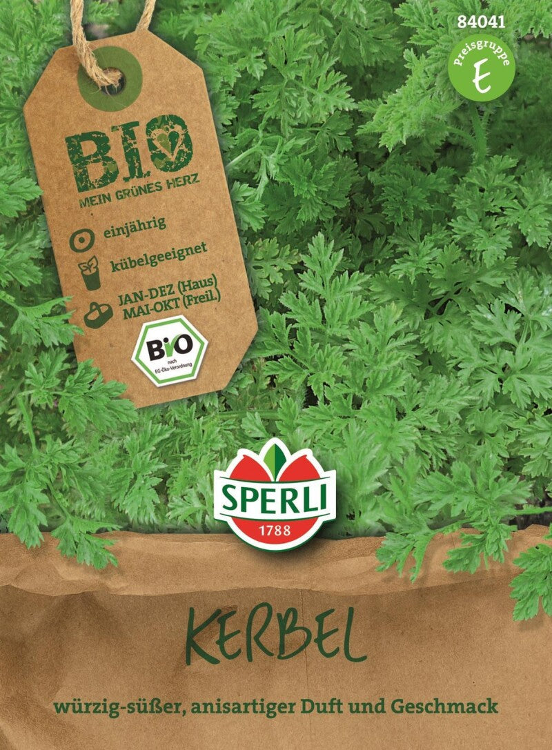 Kräuter Kerbel BIO, Ein Feines Zartes Würzkraut, Kräftig Grüne Blätter Duften Nach Anis