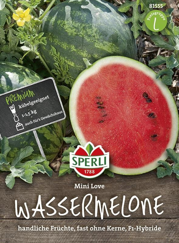 Wassermelone Mini Love, Bringt Viele Kleine Runde Grün-dunkelgrüne Melonen