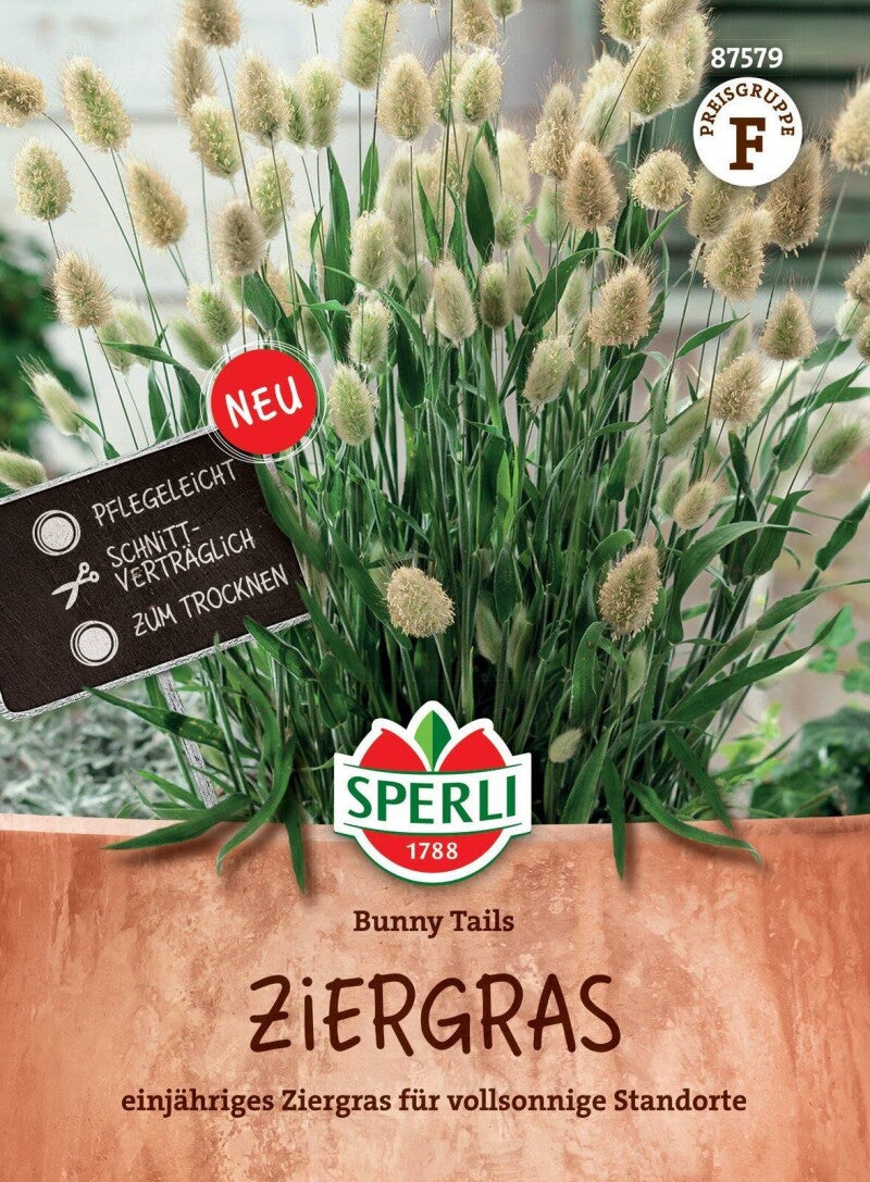 Ziergras Bunny Tails Auch Für Kübel Oder Als Bodendecker