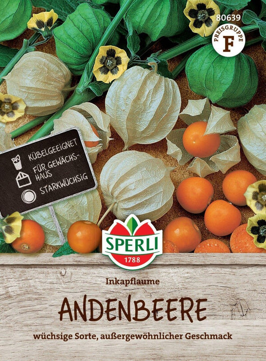  Andenbeere Inkapflaume, Stark Wüchsige Sorte Mit Außergewöhnlichem Geschmack