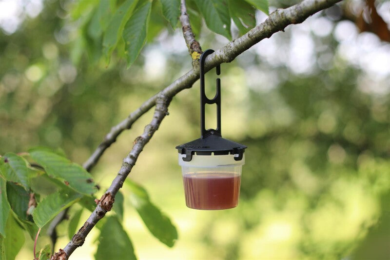  Kirschessigfliegen-Falle Drosal Pro - 5 Fallen + 1 Liter DrosaLure