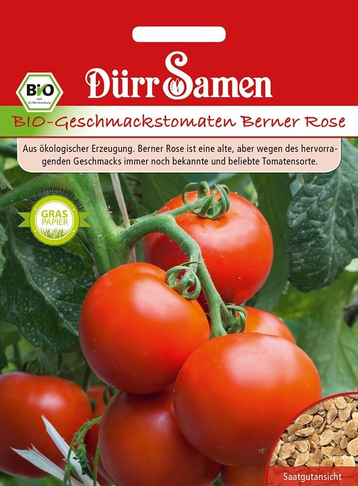  Dürr BIO Tomatensamen Berner Rose, Geschmackstomate, Bekannte Und Beliebte Sorte