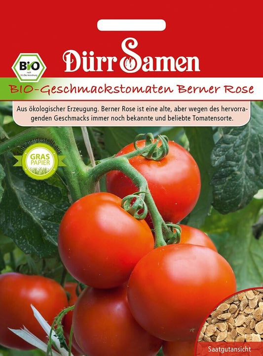  Dürr BIO Tomatensamen Berner Rose, Geschmackstomate, Bekannte Und Beliebte Sorte