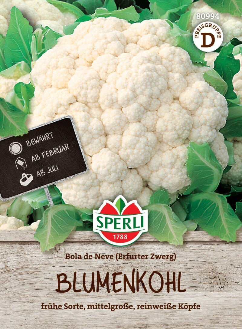  Blumenkohl Bola De Neve (Erfurter Zwerg)