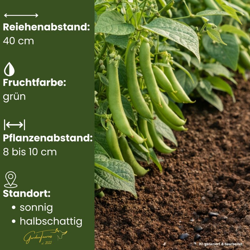  GardenTaurus® Buschbohne Delinel (Filetbohne) Besonders Reichtragend, Unempfindlich Gegen Viele Krankheiten