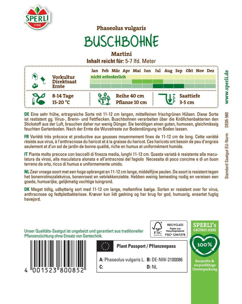  Buschbohne Martini, Sehr Frühe Ertragreiche Sorte, Resistent