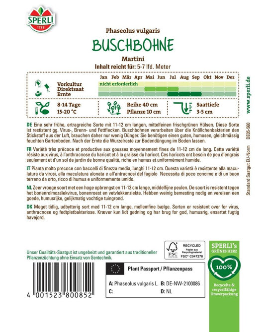  Buschbohne Martini, Sehr Frühe Ertragreiche Sorte, Resistent