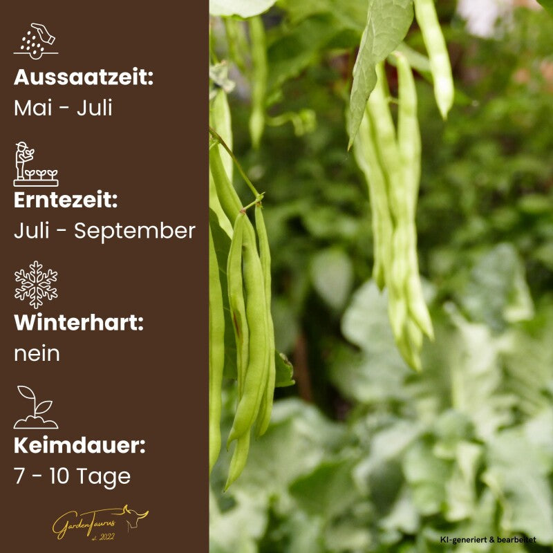  Buschbohnen Maxi Langhülsig GardenTaurus
