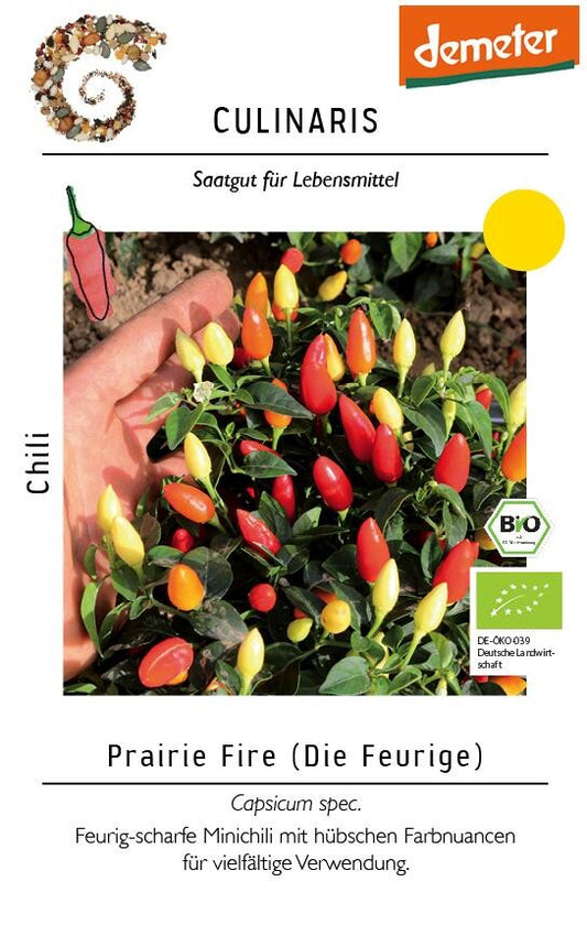  Chili Prairie Fire Feurig Scharf, Auch Für Die Fensterbank