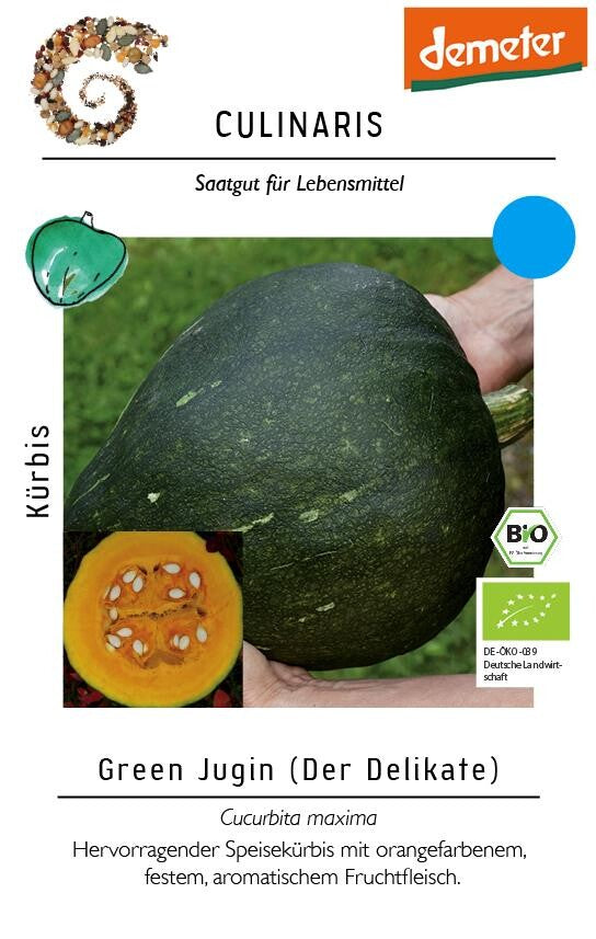  Kürbis Green Jugin Speisekürbis Mit Festem Fruchtfleisch