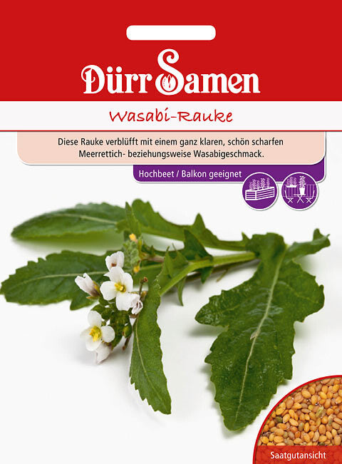  Wasabi Rauke