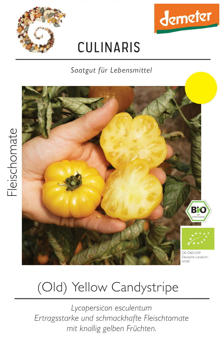  Fleischtomate Old Yellow Candystripe