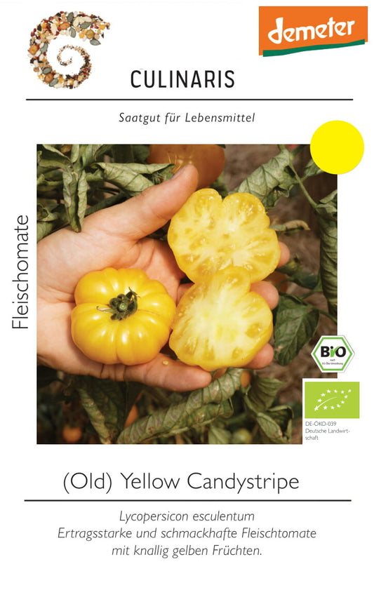 Fleischtomate Old Yellow Candystripe