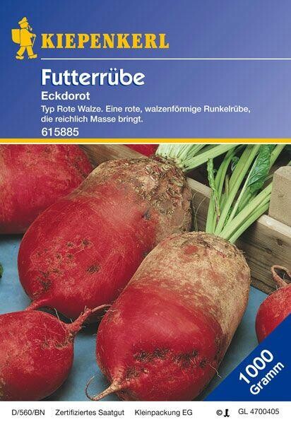  Futterrüben Eckdorot 1kg