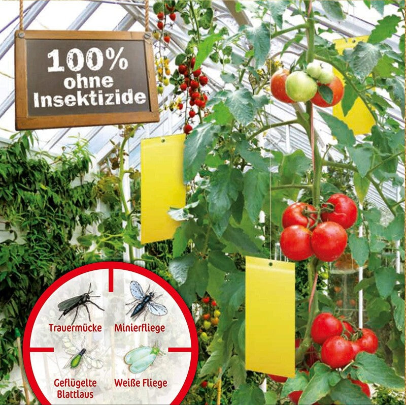  Naturen Gelbtafeln, Gegen Weiße Fliege, Minierfliege, Geflügelte Blattlaus, Etc. In Wintergarten U. Gewächshaus, 7 St.
