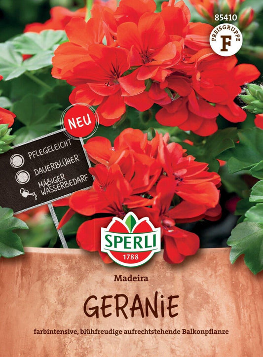 Geranie Madeira, Rot Mit Langer Blütezeit