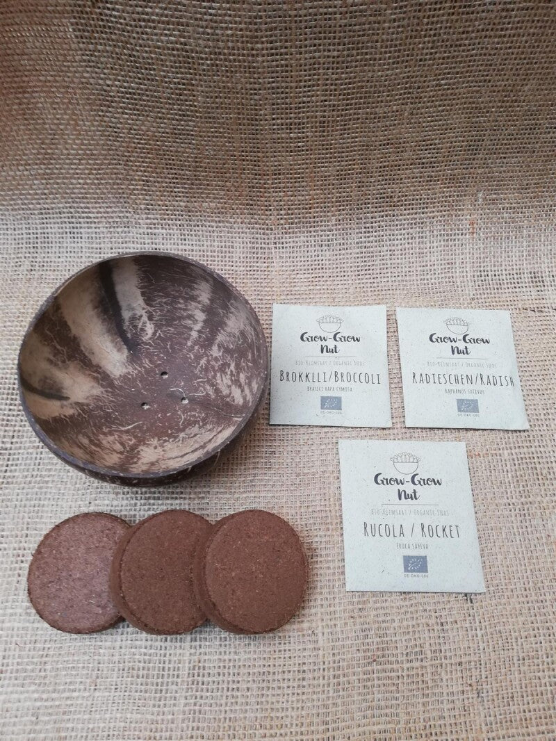  Grow-Grow Nut, Starterpaket, 1x Kokosnuss-Schale + 3x Bio-Saatgut (Brokkoli, Radieschen & Rucola) + 3x Kokoserde-Ziegel