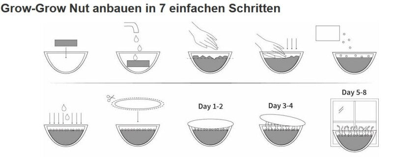  Grow-Grow Nut, Starterpaket, 1x Kokosnuss-Schale + 3x Bio-Saatgut (Brokkoli, Radieschen & Rucola) + 3x Kokoserde-Ziegel