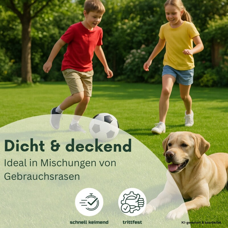  GardenTaurus® Rasenmischung `Berliner Tiergarten´Inhalt: 1kg Für 25 M²
