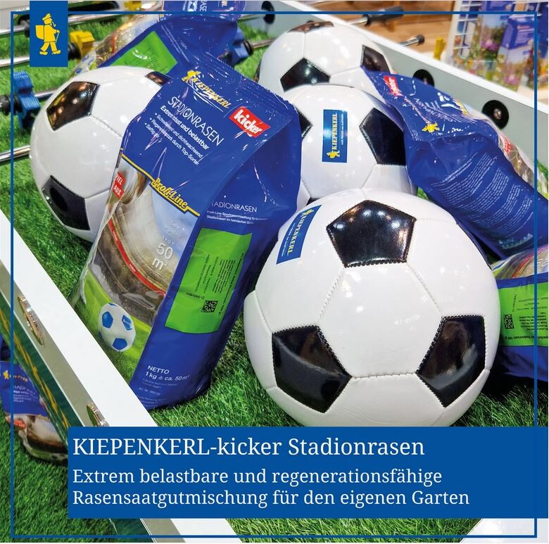  Kiepenkerl Kicker Stadionrasen, 1kg Für 50m², Rasensamen, Extrem Robust Und Belastbar