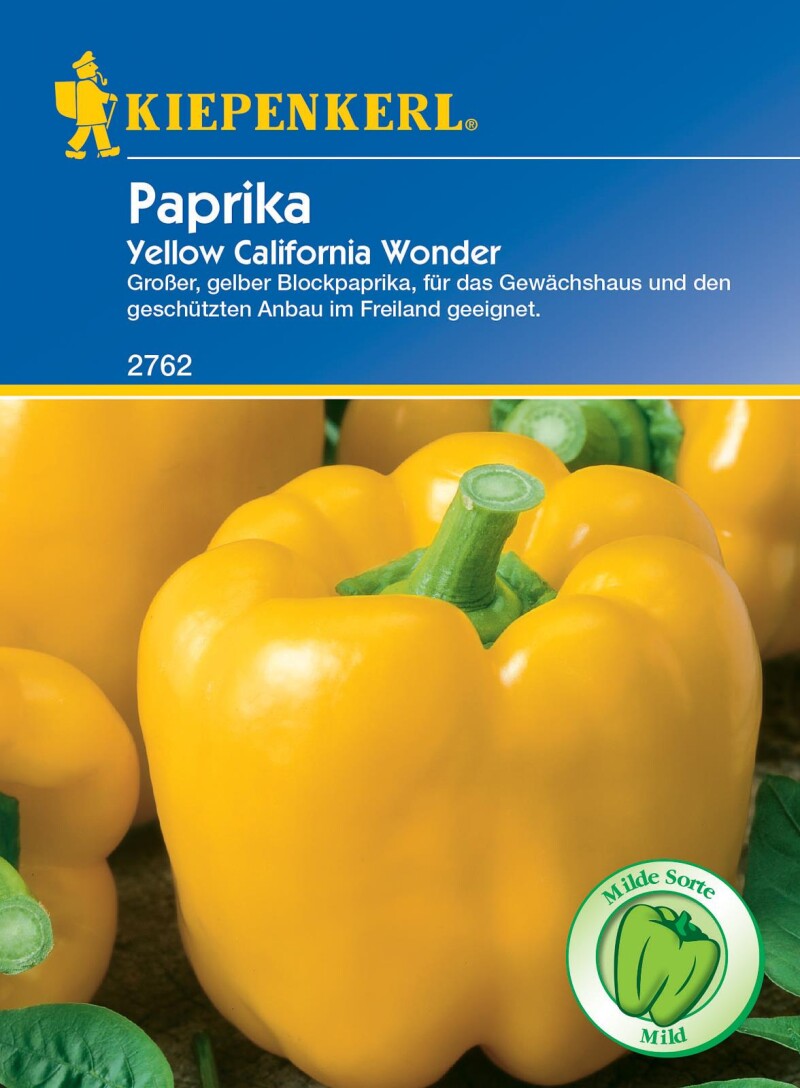  Blockpaprika Yellow California Wonder, Gelb, Bildet Viele Große Blockige Früchte, Besonders Gut Zum Füllen, Gefrier-geeignet