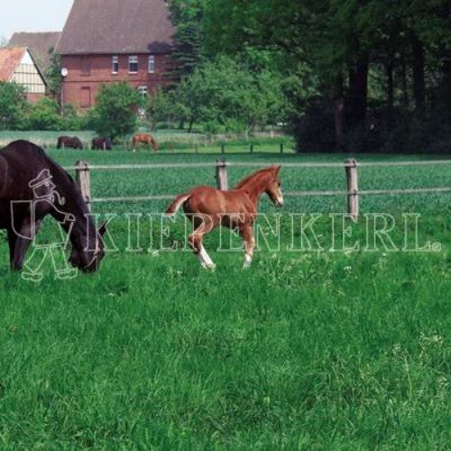  DSV Country-Horse 2117 Pferdegreen 10kg