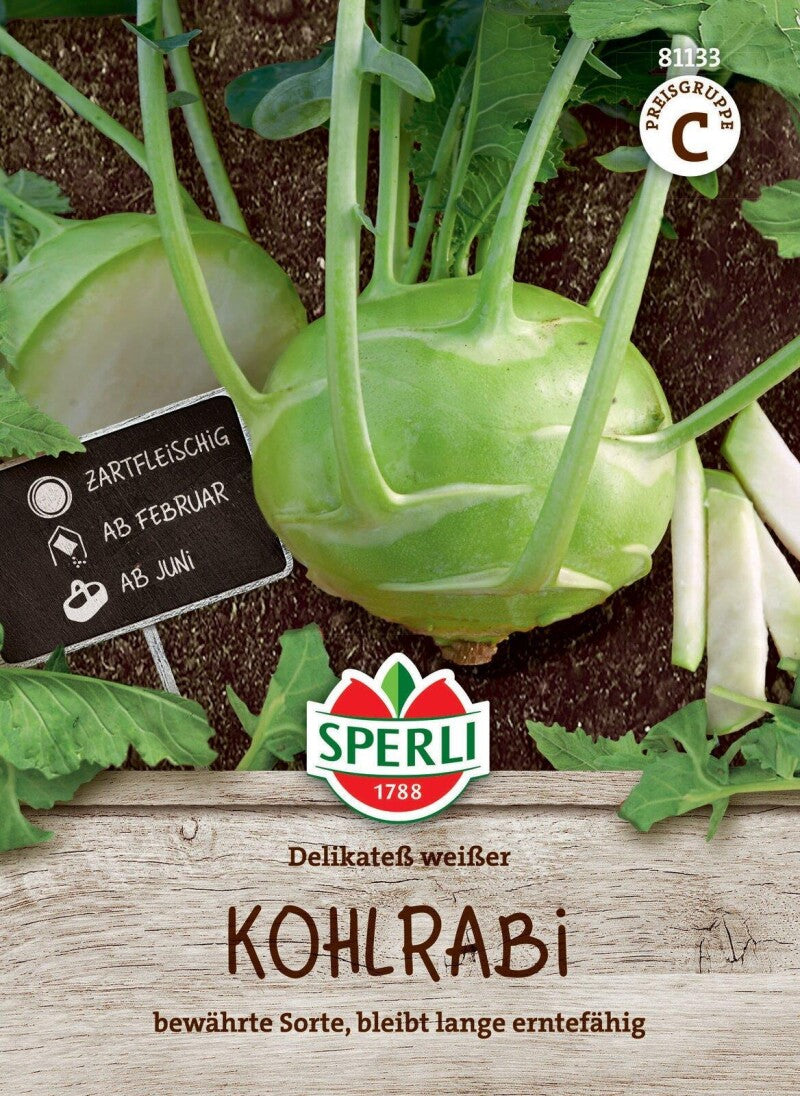  Kohlrabi Delikateß Weißer, Zartfleischig, Bewährte Sorte, Lange Erntefähig, Saatgut Von Sperli