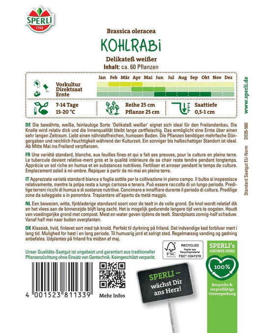  Kohlrabi Delikateß Weißer, Zartfleischig, Bewährte Sorte, Lange Erntefähig, Saatgut Von Sperli