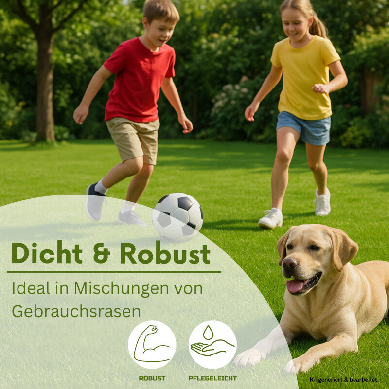  Samenshop24® Kurzausl. Rotschwingel Festuca Rubra Trichophylla 1kg