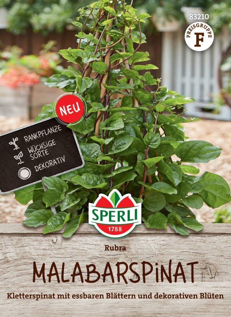  Malabarspinat Rubra, Kletterspinat Mit Essbaren Blättern, Dekorative Rankpflanze, Sperli