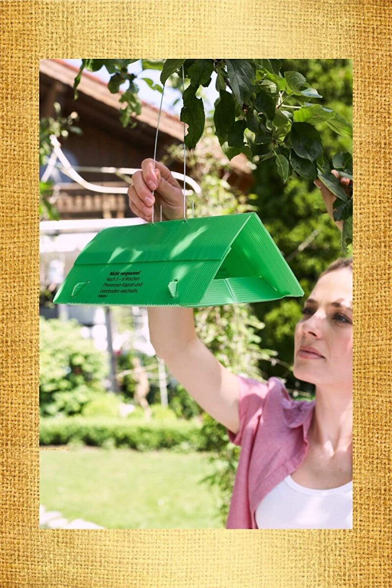  Naturen Obstmaden-Falle Gegen Apfelwickler An Äpfeln, Birnen Und Walnüssen (Obstmade), 1 Set