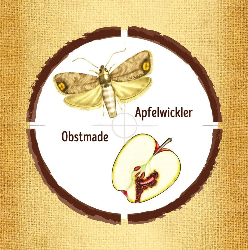  Naturen Obstmaden-Falle Gegen Apfelwickler An Äpfeln, Birnen Und Walnüssen (Obstmade), 1 Set