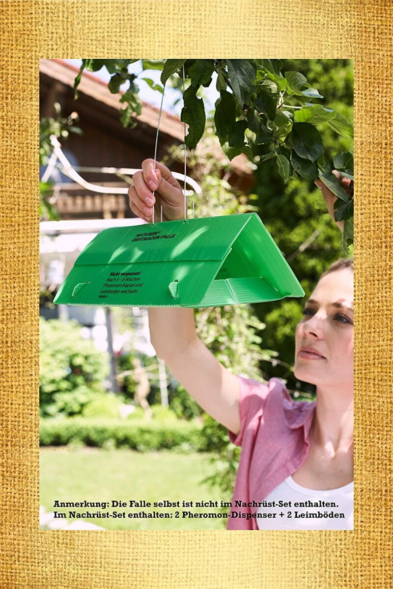  Naturen Obstmaden-Falle, Nachrüstset - 1 Set á 2 Leimböden/2 Pheromon-Kapseln