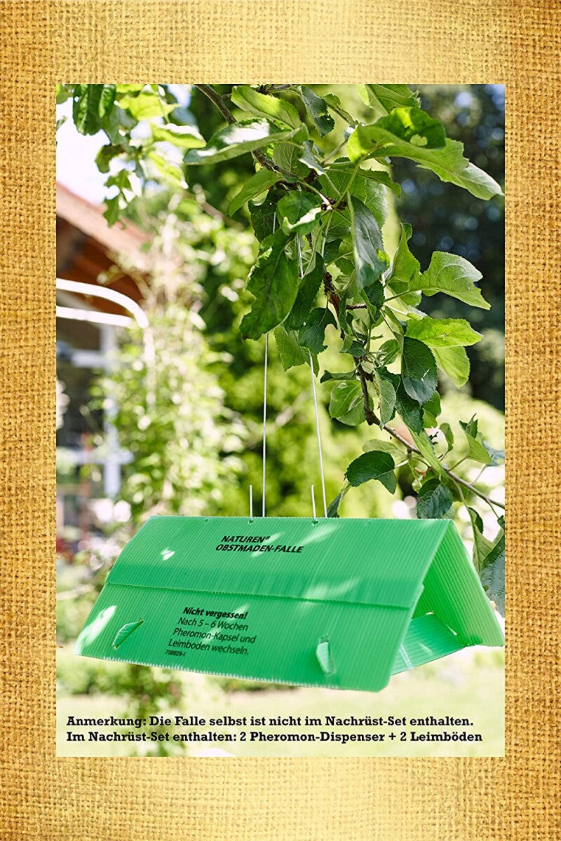  Naturen Obstmaden-Falle, Nachrüstset - 1 Set á 2 Leimböden/2 Pheromon-Kapseln