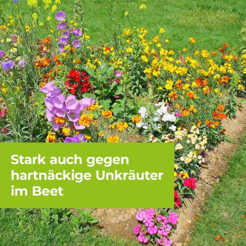  PROTECT GARDEN Permaclean Duo Unkraut & Wurzel Ex, Unkrautvernichter Mit Zweifachwirkung Gegen Alle Unkräuter Und Ungräser, 1000 Ml