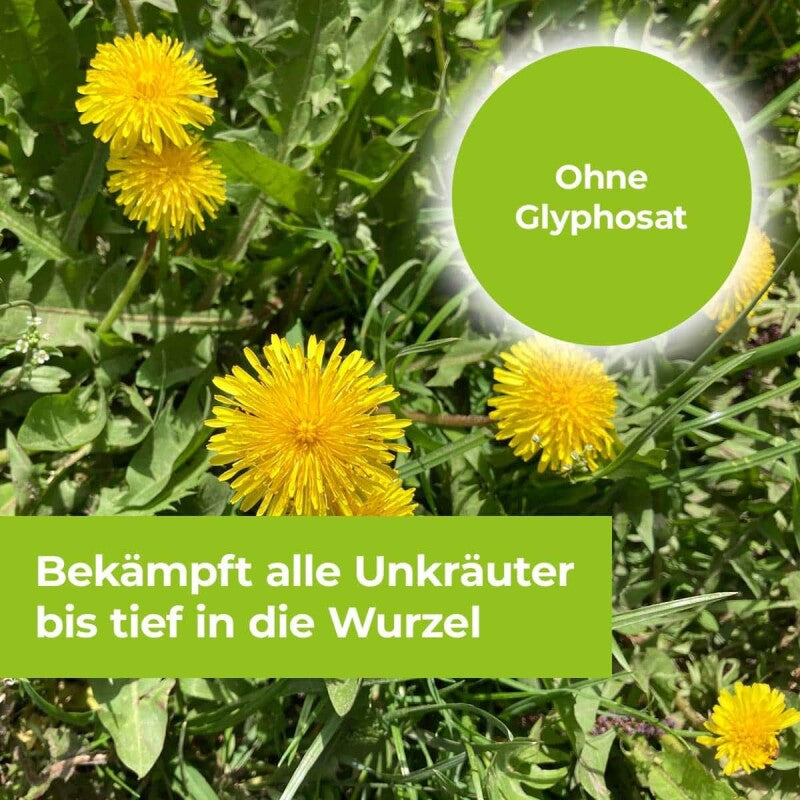 PROTECT GARDEN Permaclean Duo Unkraut & Wurzel Ex, Unkrautvernichter Mit Zweifachwirkung Gegen Alle Unkräuter Und Ungräser, 1000 Ml