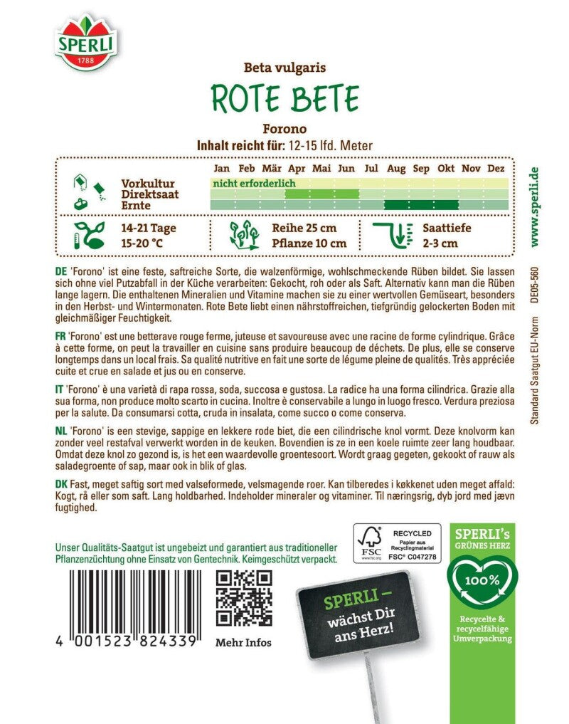  Rote Bete Forono, Saftreich Sorte Für Die Herbsternte, Feste Lagerfähige Rübe, Sperli Saatgut