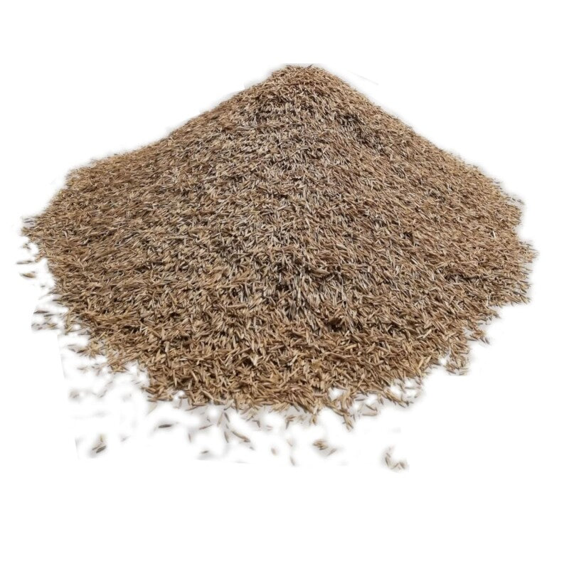  RSM-Rasensamen 3.2 Sportrasen Regeneration Mit Poa Pratensis 10kg