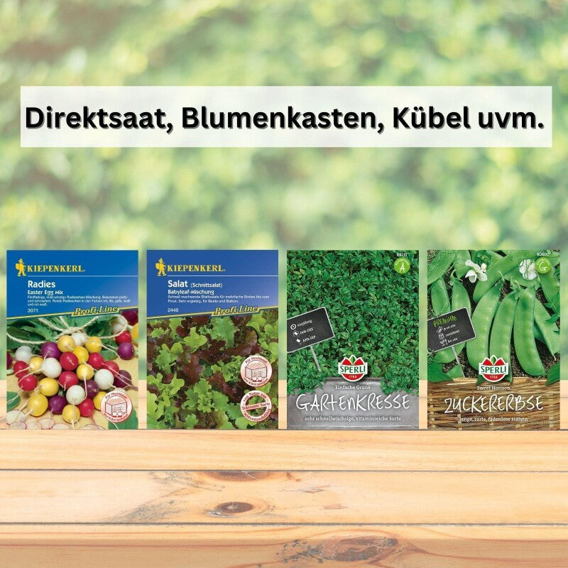  Gärtnern Mit Kindern | Saatgut Sparset Bunte Auswahl Gemüsesamen Für Gemüse Zum Naschen
