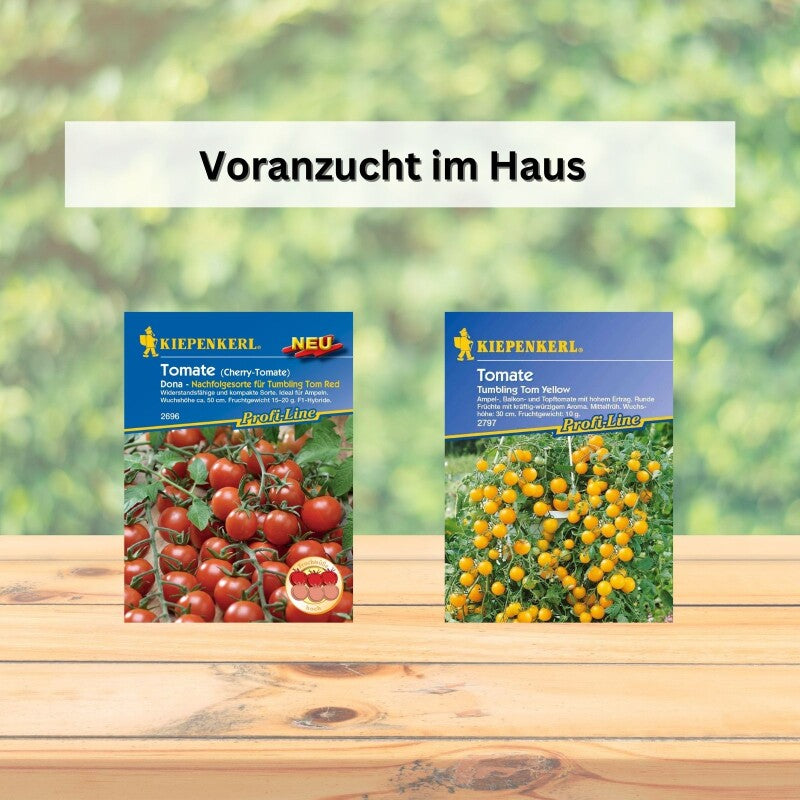  Gärtnern Mit Kindern | Saatgut Sparset Bunte Auswahl Gemüsesamen Für Gemüse Zum Naschen