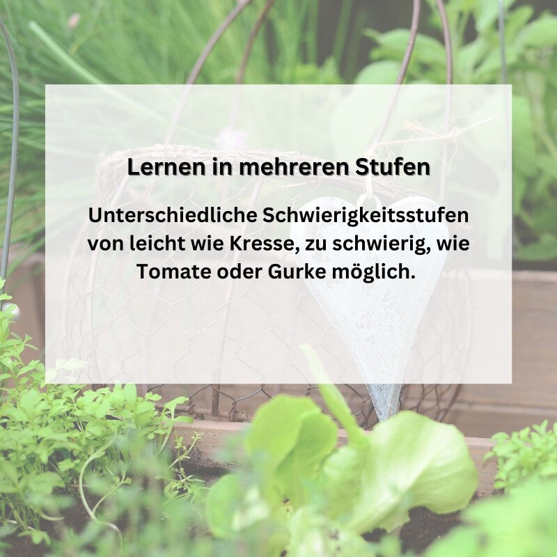  Gärtnern Mit Kindern | Saatgut Sparset Bunte Auswahl Gemüsesamen Für Gemüse Zum Naschen