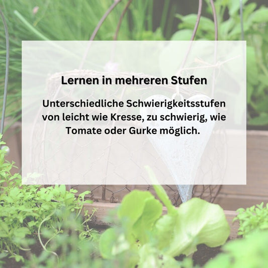  Gärtnern Mit Kindern | Saatgut Sparset Bunte Auswahl Gemüsesamen Für Gemüse Zum Naschen
