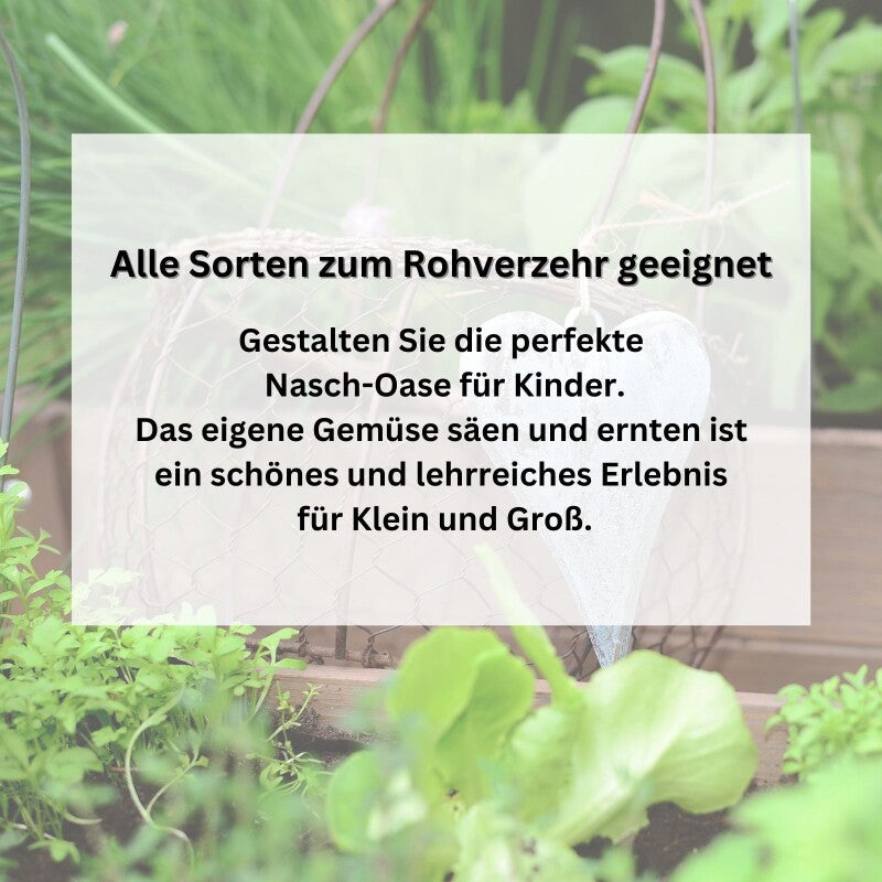  Gärtnern Mit Kindern | Saatgut Sparset Bunte Auswahl Gemüsesamen Für Gemüse Zum Naschen