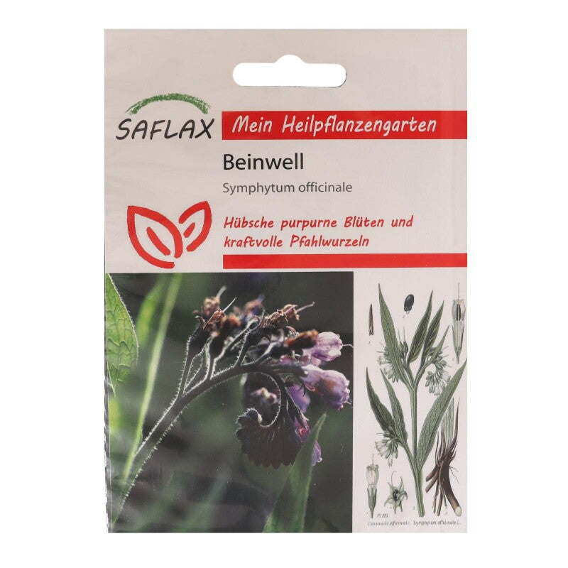  Beinwell - Heilpflanzen Saatgut 15 Samen - Symphytum Officinale