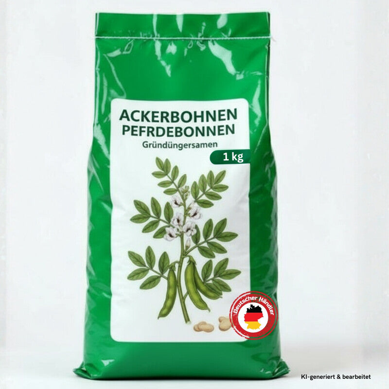  Samenshop24® Ackerbohnen Pferdebohnen Vicia Faba, Inhalt: 1kg Für Ca. 50m², Nicht Winterharte Gründüngerpflanzen, Tief Wurzelnd Und Stickstoffbindend